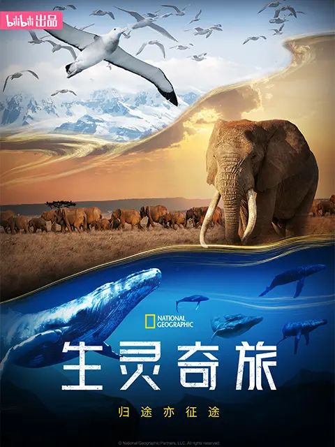 生灵奇旅(全集)